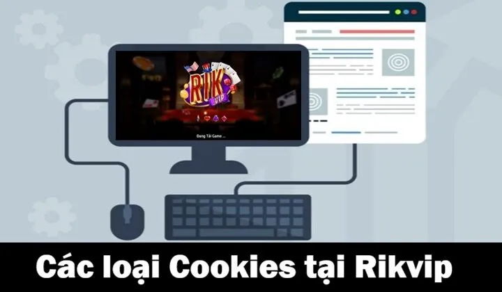 Các loại Cookies được dùng tại Rikvip 
