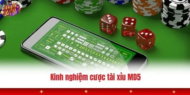 Một số chiến thuật tham gia tài xỉu MD5 Rikvip dễ dàng