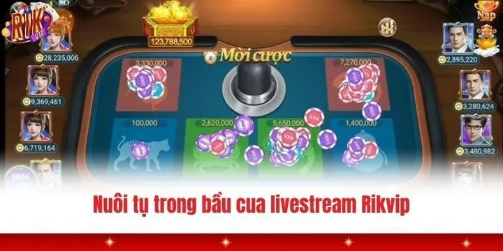 Hướng dẫn cách chơi bầu cua livestream Rikvip cực chuẩn