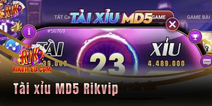Tài xỉu MD5 Rikvip - Săn phần thưởng đầy hấp dẫn năm 2026